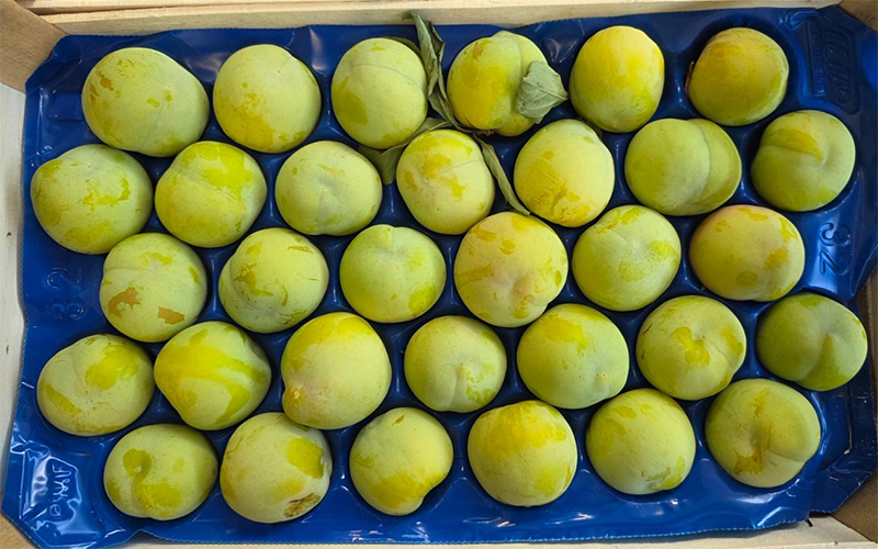 Susine - Campania - 2,30 euro al chilogrammo